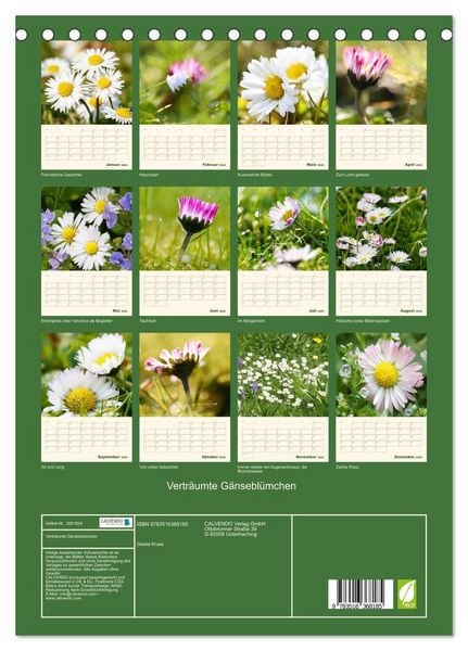 Produktbild: Vertr&auml;umte G&auml;nsebl&uuml;mchen (Tischkalender 2026 DIN A5 hoch), CALVENDO Monatskalender