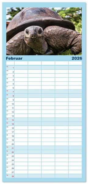 Produktbild: Familienplaner 2026 - Die Seychellen - ganz nah am Paradies mit 5 Spalten (Wandkalender, 21 x 45 cm) CALVENDO