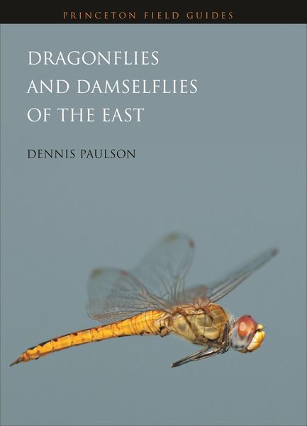 Produktbild: Dragonflies and Damselflies of the East
