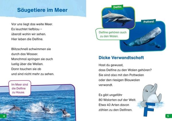 Produktbild: WAS IST WAS Erstes Lesen easy! Band 5. Wie leben die Delfine?