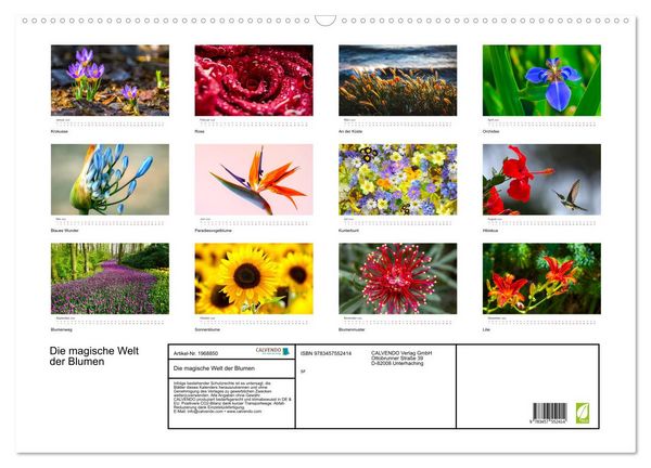 Produktbild: Die magische Welt der Blumen (Wandkalender 2026 DIN A2 quer), CALVENDO Monatskalender