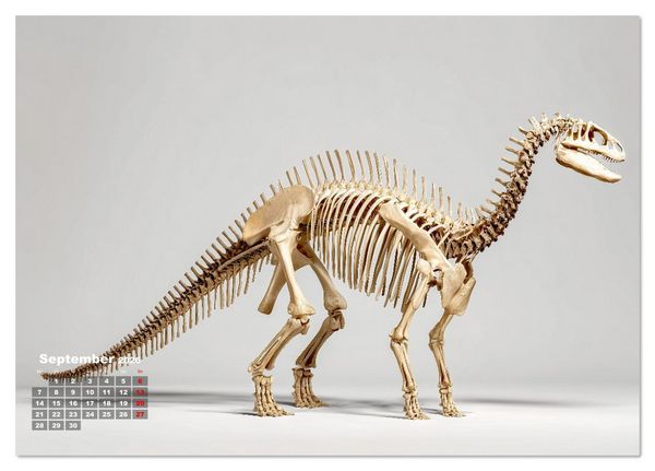 Produktbild: Knochen der Giganten - Dinosaurier im Portr&auml;t (Tischkalender 2026 DIN A5 quer), CALVENDO Monatskalender