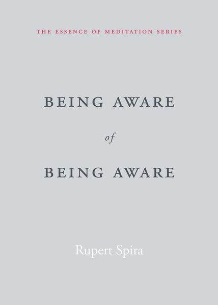 Being aware of being aware alternative edition cover