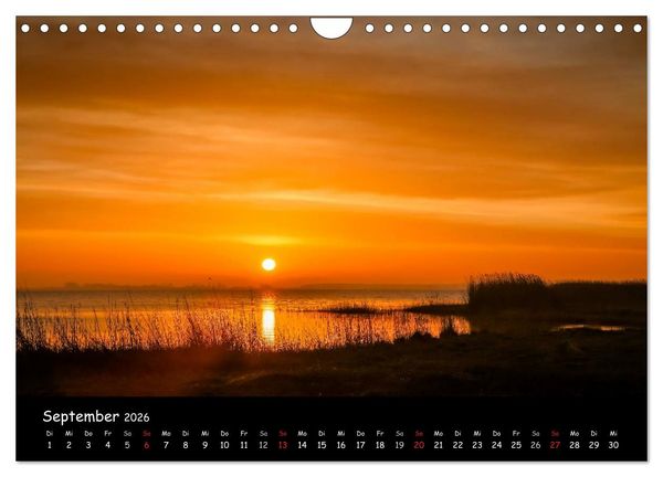 Produktbild: Ostseeregion Dar&szlig;-Zingst (Wandkalender 2026 DIN A4 quer), CALVENDO Monatskalender