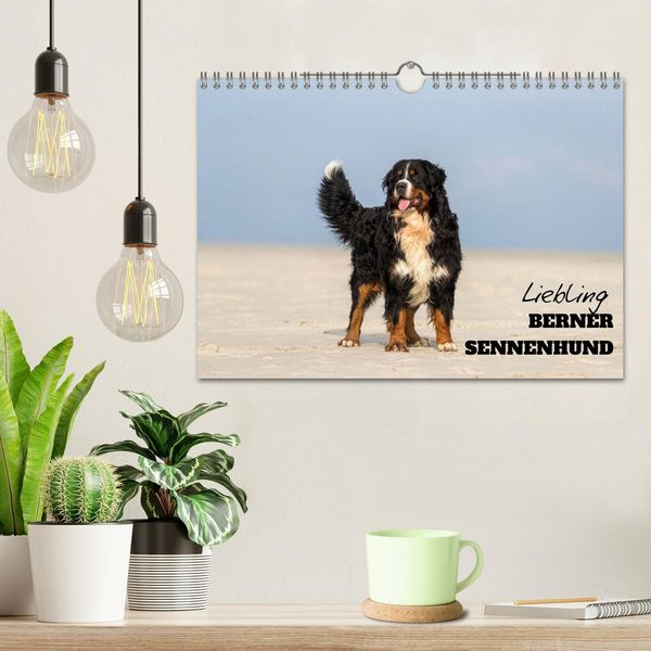 Produktbild: Liebling BERNER SENNENHUND (Wandkalender 2026 DIN A4 quer), CALVENDO Monatskalender
