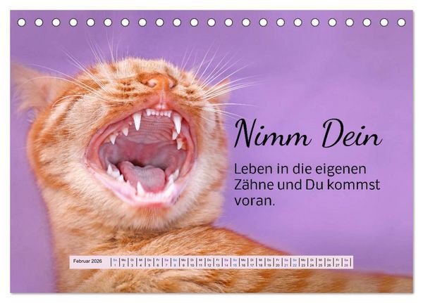 Produktbild: Der Spruchkalender - freiheraus und witzig (Tischkalender 2026 DIN A5 quer), CALVENDO Monatskalender