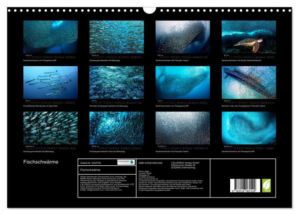 Produktbild: Fischschw&auml;rme (Wandkalender 2026 DIN A3 quer), CALVENDO Monatskalender