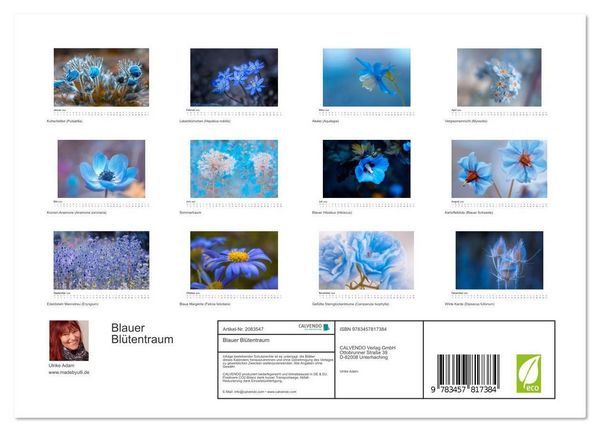 Produktbild: Blauer Bl&uuml;tentraum (Wandkalender 2026 DIN A4 quer), CALVENDO Monatskalender