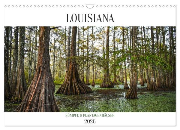 Produktbild: Louisiana - S&uuml;mpfe und Plantagenh&auml;user (Wandkalender 2026 DIN A3 quer), CALVENDO Monatskalender