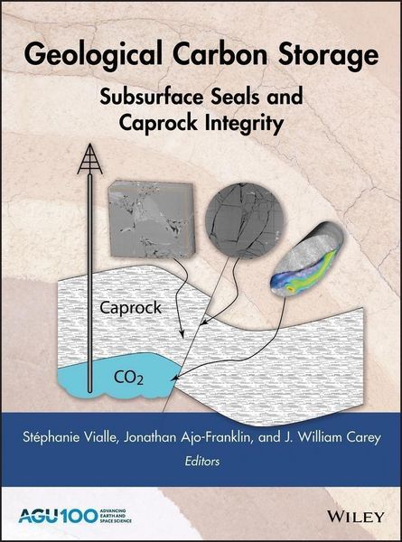 Produktbild: Geological Carbon Storage