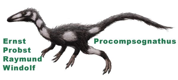 Produktbild: Procompsognathus