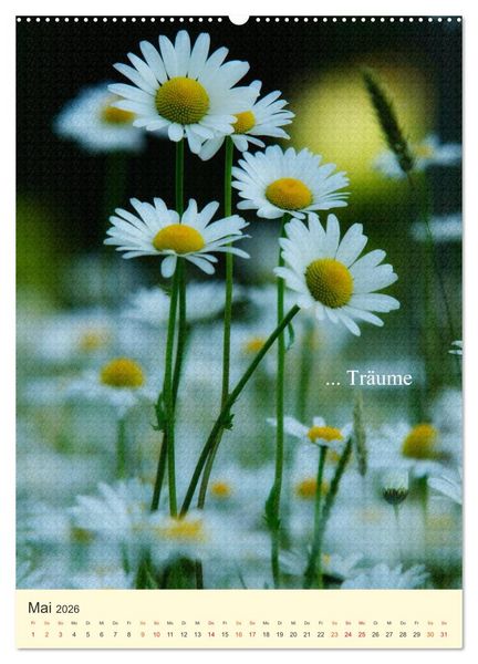 Produktbild: flowers (hochwertiger Premium Wandkalender 2026 DIN A2 hoch), Kunstdruck in Hochglanz