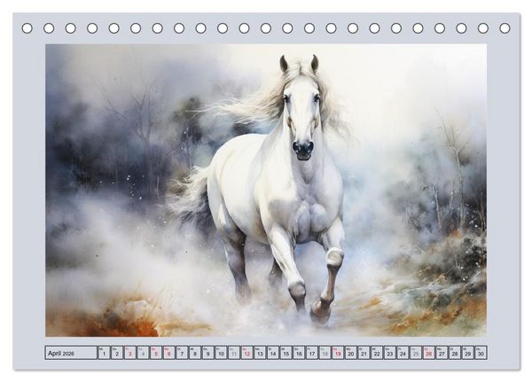 Produktbild: Anmutige Schimmel. &Auml;sthetik wei&szlig;er Aquarell-Pferde (Tischkalender 2026 DIN A5 quer), CALVENDO Monatskalender
