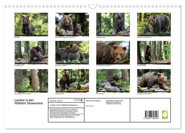 Produktbild: Lautlos in den W&auml;ldern Sloweniens (Wandkalender 2026 DIN A3 quer), CALVENDO Monatskalender