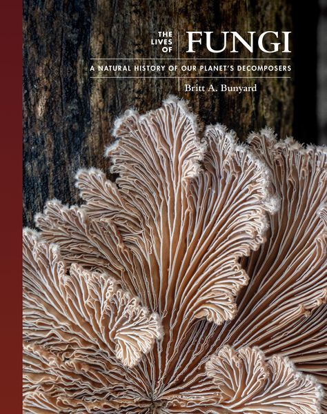 Produktbild: The Lives of Fungi