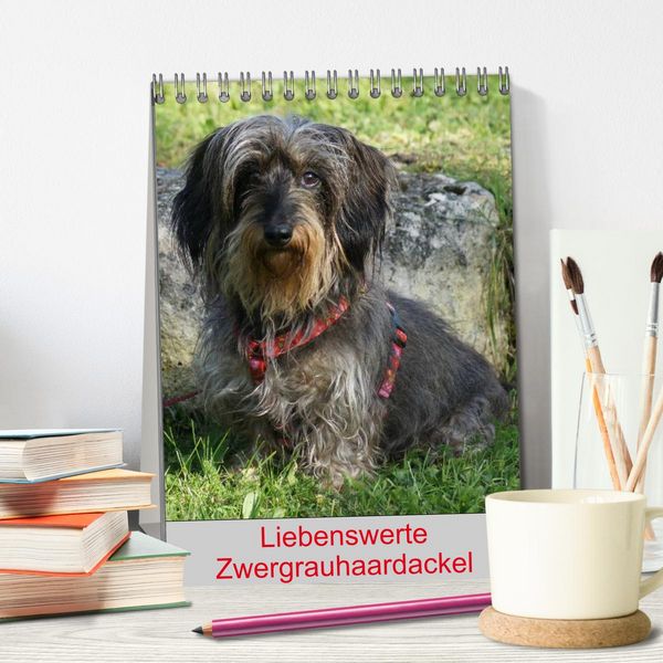 Produktbild: Liebenswerte Zwergrauhaardackel (Tischkalender 2026 DIN A5 hoch), CALVENDO Monatskalender