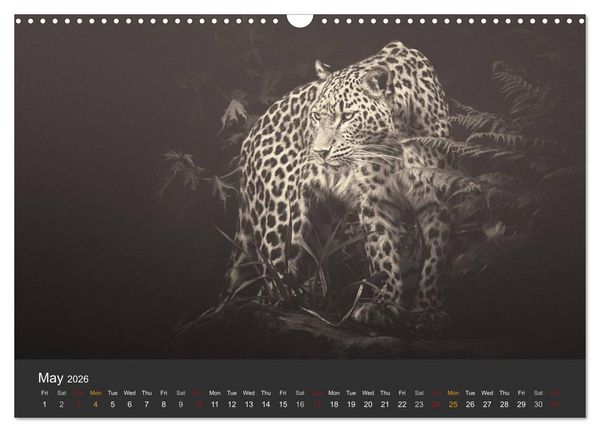 Produktbild: African Souls African animals with soul (Wall Calendar 2026 DIN A3 landscape), CALVENDO 12 Month Wall Calendar