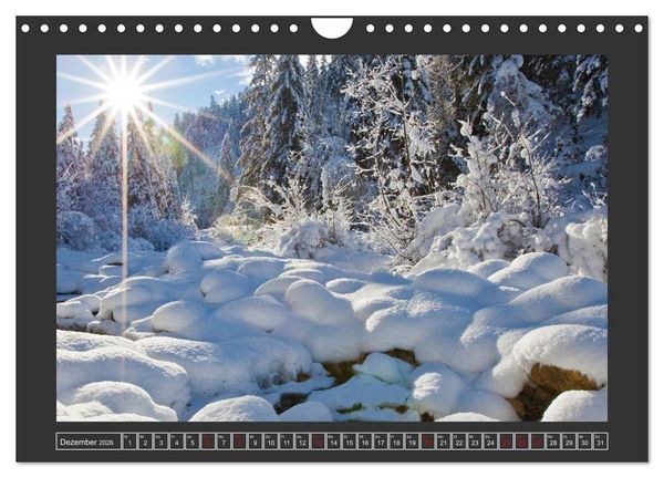 Produktbild: Gr&uuml;&szlig;e aus Wald (Wandkalender 2026 DIN A4 quer), CALVENDO Monatskalender