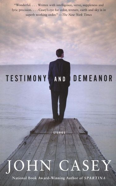 Produktbild: Testimony and Demeanor
