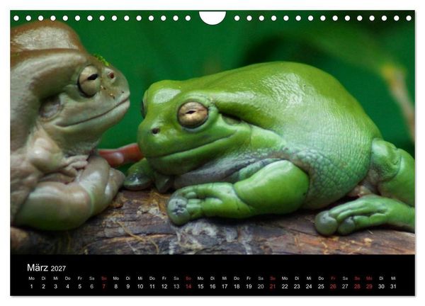 Produktbild: Die Welt der Haustiere (Wandkalender 2027 DIN A4 quer), CALVENDO Monatskalender