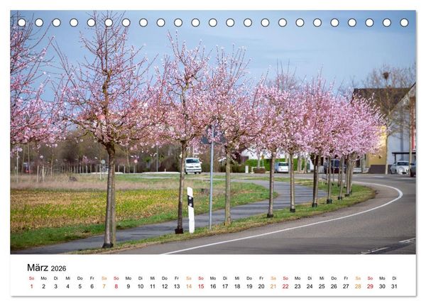 Produktbild: Die Hufeisengemeinde Br&uuml;hl (Tischkalender 2026 DIN A5 quer), CALVENDO Monatskalender