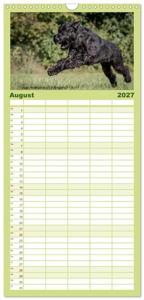 Produktbild: Familienplaner 2027 - Schnauzer... von Zwergen und Riesen 2027 mit 5 Spalten (Wandkalender, 21 x 45 cm) CALVENDO