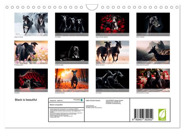 Produktbild: Black is beautiful (Wandkalender 2026 DIN A4 quer), CALVENDO Monatskalender