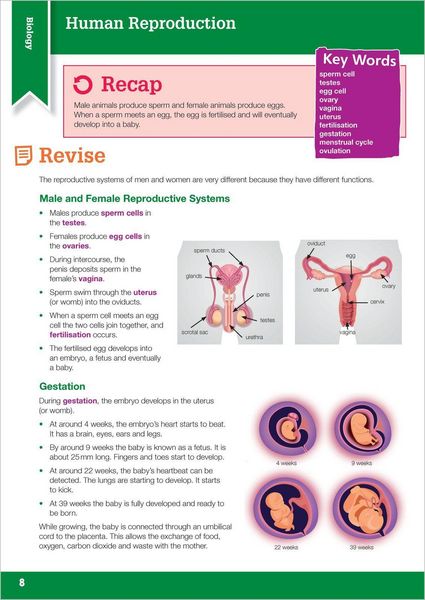 Produktbild: KS3 Science Revision Made Simple Years 7-9 with answers.