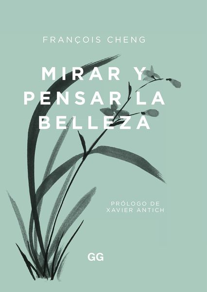 Produktbild: Mirar y pensar la belleza