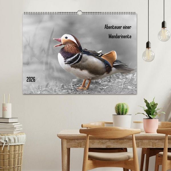 Produktbild: Abenteuer einer Mandarinente (Wandkalender 2026 DIN A2 quer), CALVENDO Monatskalender