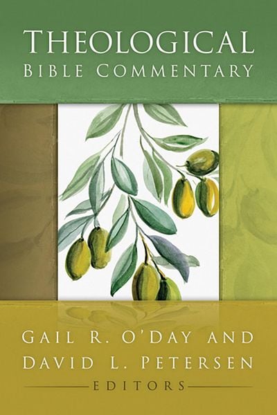 Produktbild: Theological Bible Commentary
