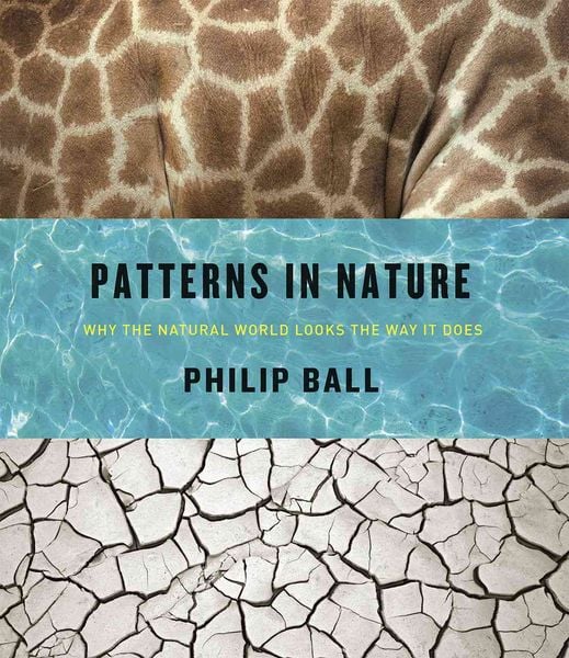 Produktbild: Patterns in Nature