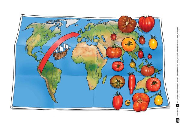 Produktbild: Wo der Ketchup w&auml;chst. Wie die Tomate keimt und reift. Kamishibai Bildkartenset