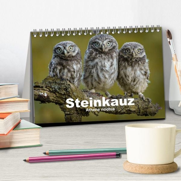Produktbild: Steink&auml;uze (Athene noctua) (Tischkalender 2026 DIN A5 quer), CALVENDO Monatskalender
