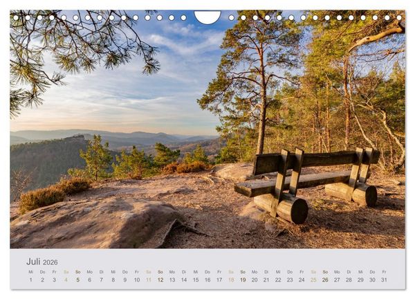 Produktbild: Augenblicke im Pf&auml;lzerwald (Wandkalender 2026 DIN A4 quer), CALVENDO Monatskalender