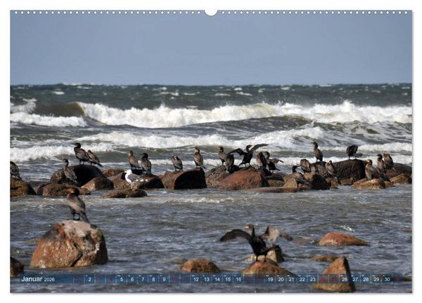 Produktbild: Bornholm - Sonneninsel der Ostsee (hochwertiger Premium Wandkalender 2026 DIN A2 quer), Kunstdruck in Hochglanz