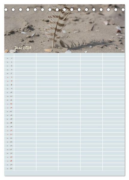 Produktbild: Kleine Sand-Sch&ouml;nheiten / Familienplaner (Tischkalender 2026 DIN A5 hoch), CALVENDO Monatskalender