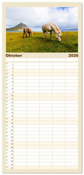 Produktbild: Familienplaner 2026 - Islandpferde - Die s&uuml;&szlig;en Pferde im Norden. mit 5 Spalten (Wandkalender, 21 x 45 cm) CALVENDO