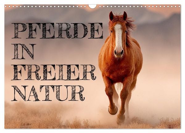 Produktbild: Pferde in freier Natur (Wandkalender 2026 DIN A3 quer), CALVENDO Monatskalender