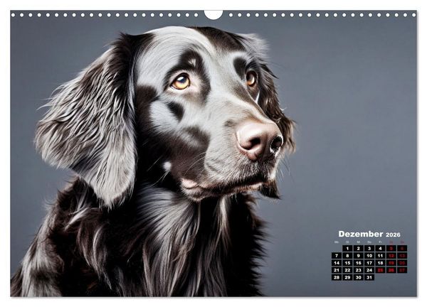 Produktbild: Only Black (Wandkalender 2026 DIN A3 quer), CALVENDO Monatskalender