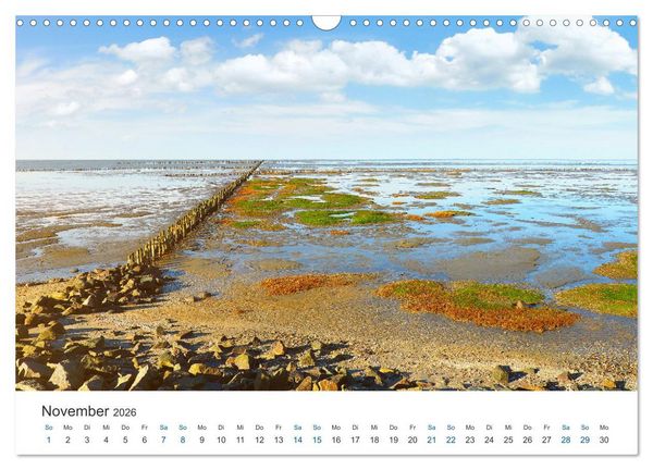 Produktbild: Deutsche K&uuml;ste - Nordsee und Ostsee (Wandkalender 2026 DIN A3 quer), CALVENDO Monatskalender