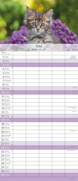 Kätzchen 2026 Familienplaner - Familienkalender - Wandkalender - 19,5x45