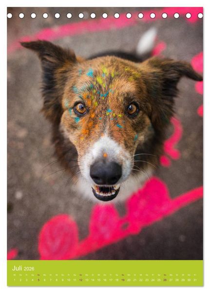 Produktbild: Graffiti Dogs Kunterbunt (Tischkalender 2026 DIN A5 hoch), CALVENDO Monatskalender