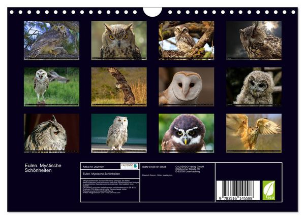 Produktbild: Eulen. Mystische Sch&ouml;nheiten (Wandkalender 2026 DIN A4 quer), CALVENDO Monatskalender