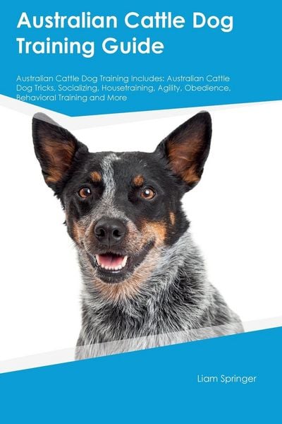 Produktbild: Australian Cattle Dog Training Guide Australian Cattle Dog Training Includes