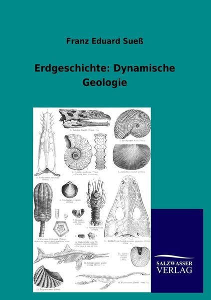 Produktbild: Erdgeschichte: Dynamische Geologie