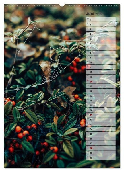Produktbild: Kalender - Natur im Detail (Wandkalender 2026 DIN A2 hoch), CALVENDO Monatskalender