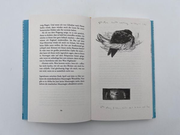 Produktbild: Der Ruf des Sommers
