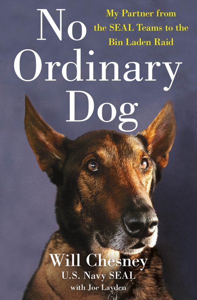 Produktbild: No Ordinary Dog