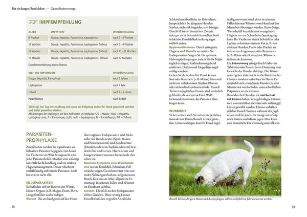 Produktbild: Parson und Jack Russell Terrier